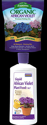 African Violet Food