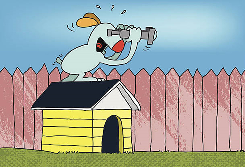 Creating a Natural Privacy Screen