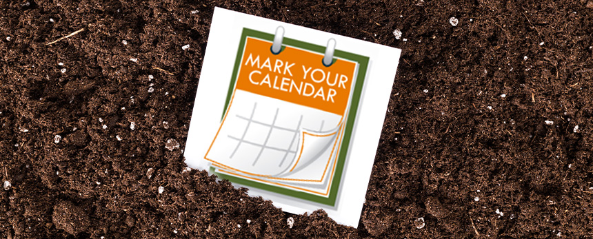 Fertilizing Plants – Timing Is Everything!