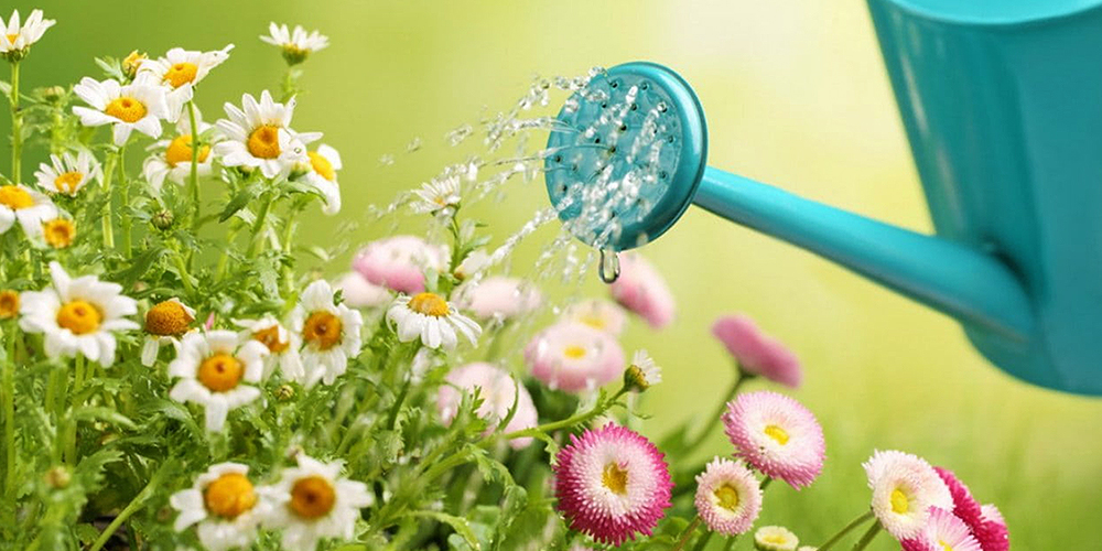 South Carolina Summer Forecast… Hot & Dry