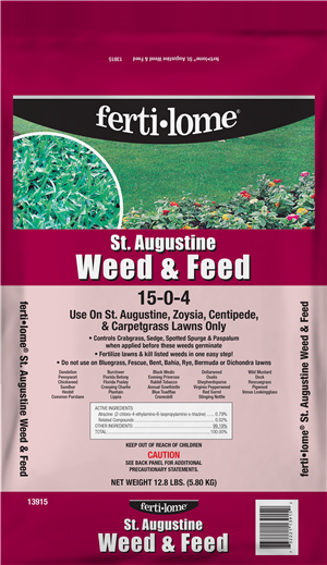 2025 St Augustine Wf 1