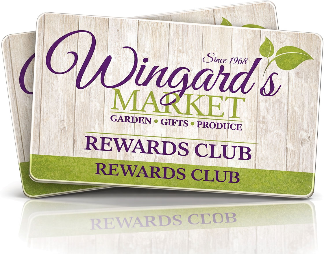 Rewards Club Cards