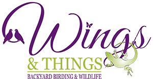 Wings Things Birds