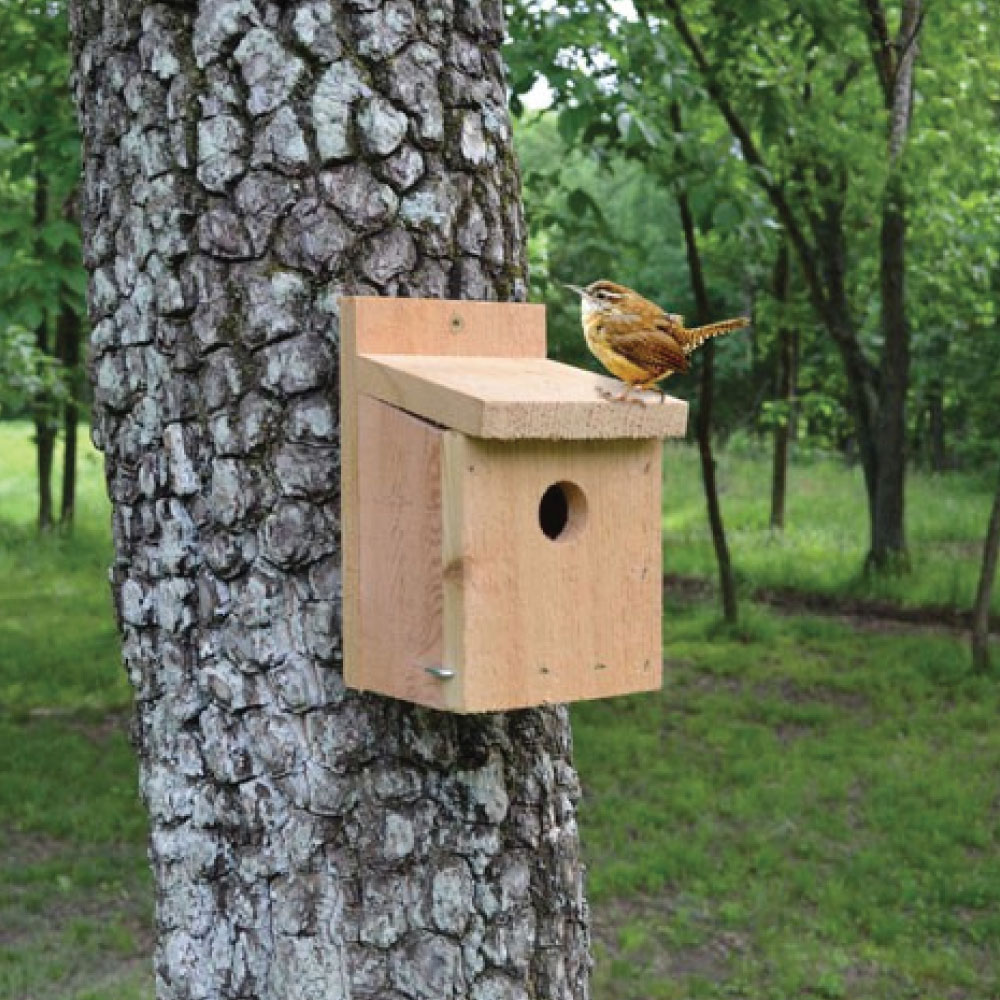 Cedar Wren House