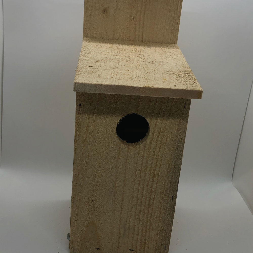 Economy Bluebird House