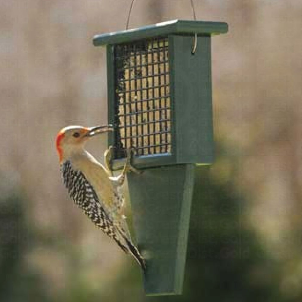 Recycled Suet Feeder