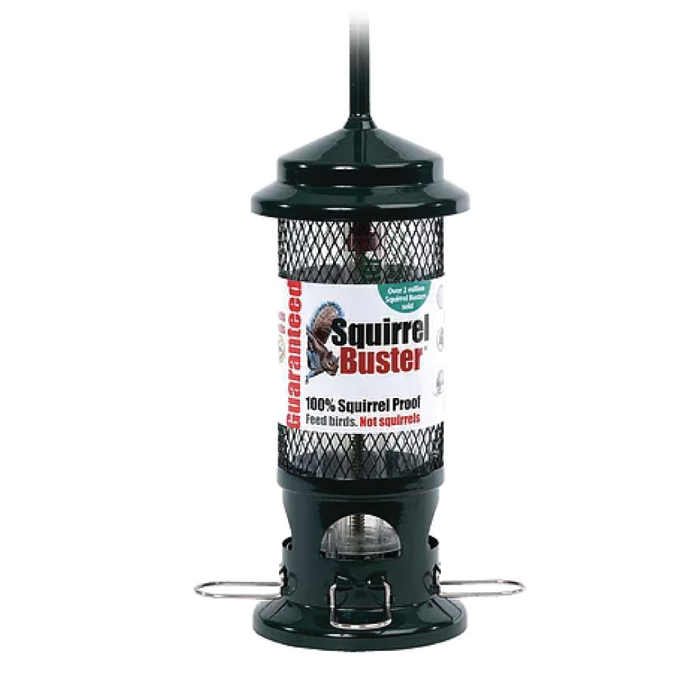Squirrel Buster Standard