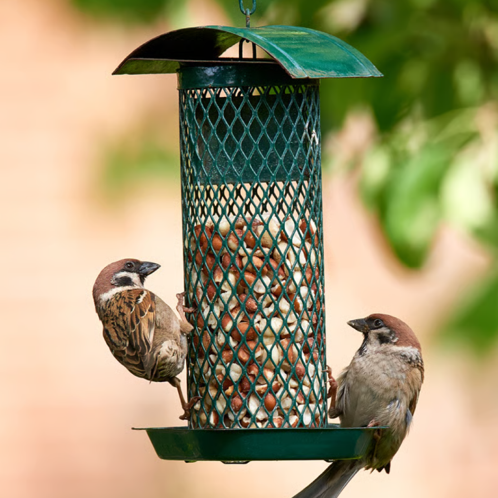 Wild Bird Accessories