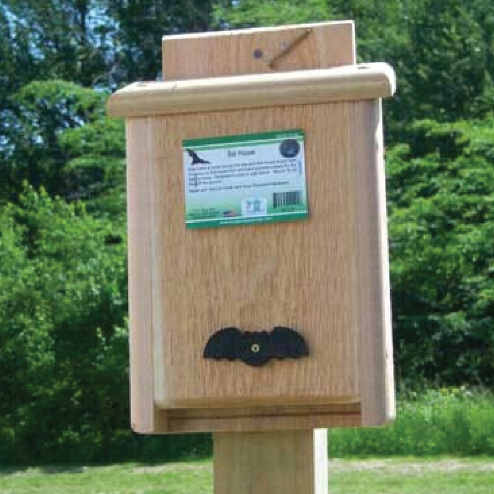 Bat House