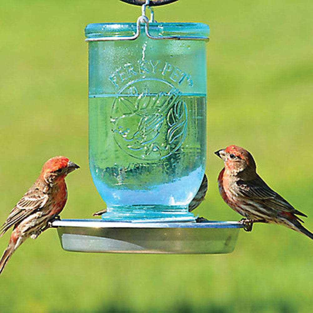 Mason Jar Bird Waterer